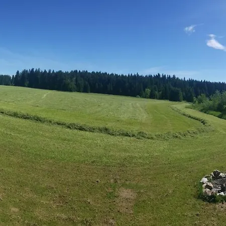 Chata Planicka 515 - Lipno Holiday home Cerna v Posumavi